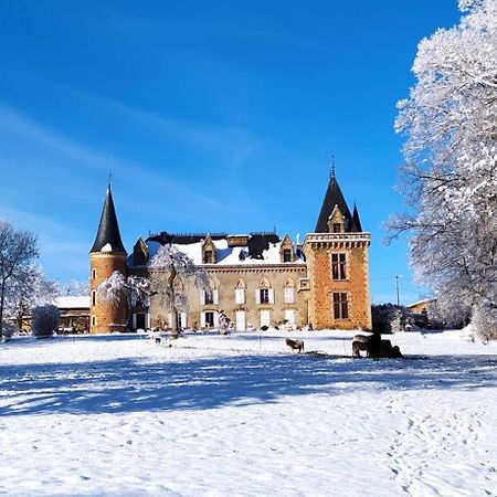 Chateau De La Forie Saint-Etienne-sur-Usson Exteriér fotografie
