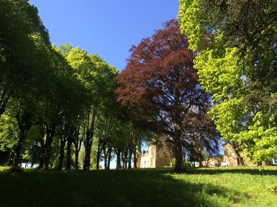Chateau De La Forie Saint-Etienne-sur-Usson Exteriér fotografie