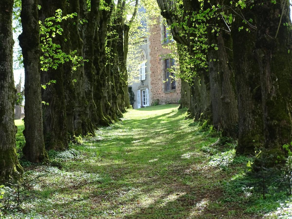 Chateau De La Forie Saint-Etienne-sur-Usson Exteriér fotografie