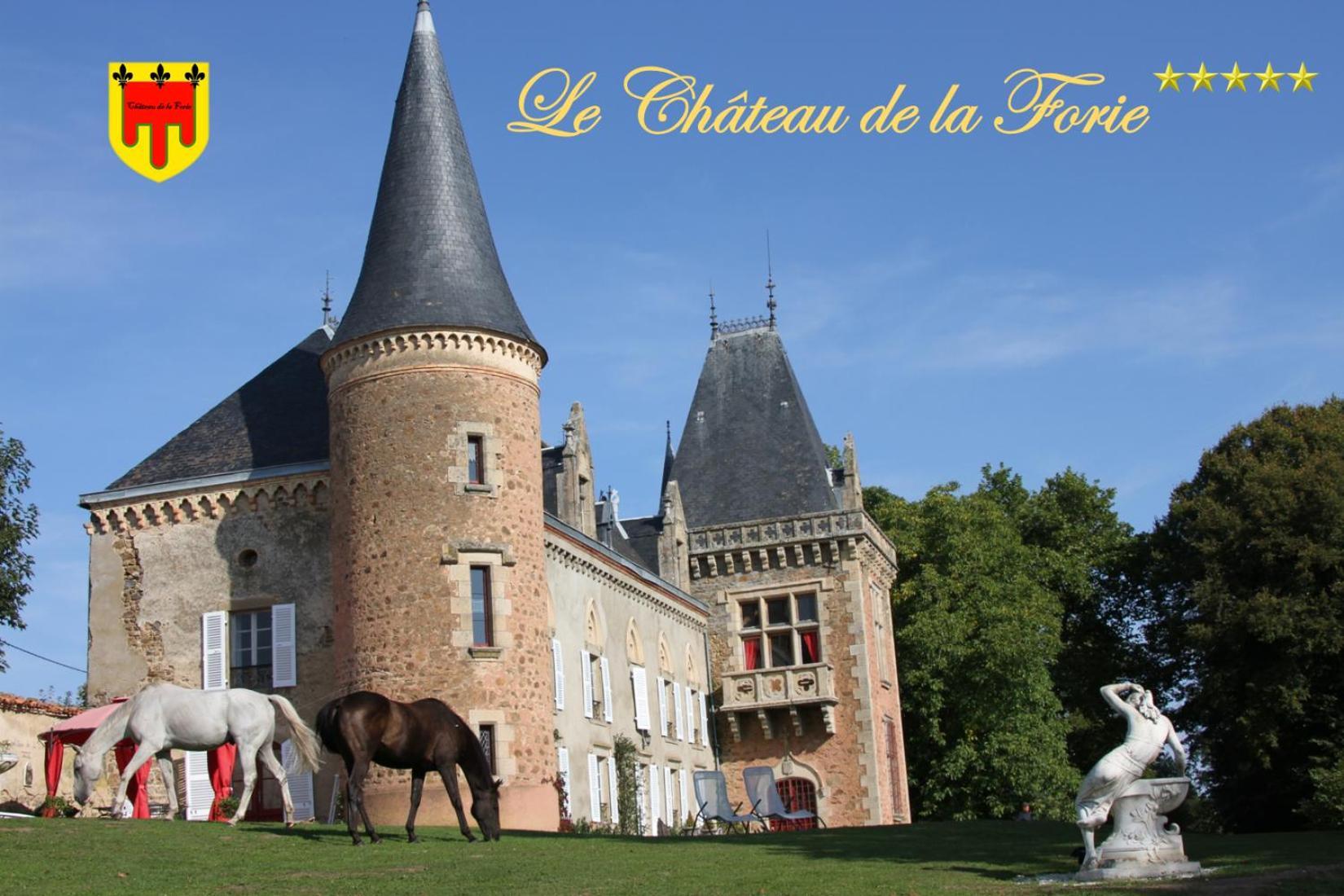 Chateau De La Forie Saint-Etienne-sur-Usson Exteriér fotografie