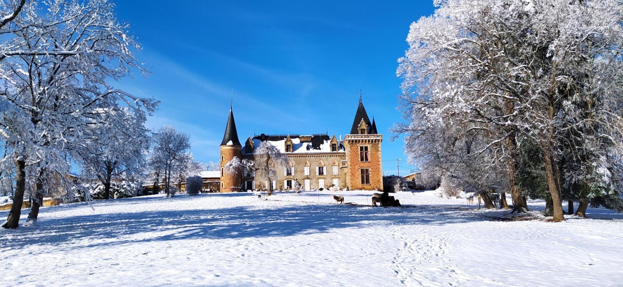 Chateau De La Forie Saint-Etienne-sur-Usson Exteriér fotografie